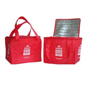 Picnic Aluminium Foil Insulated Cooler Bag