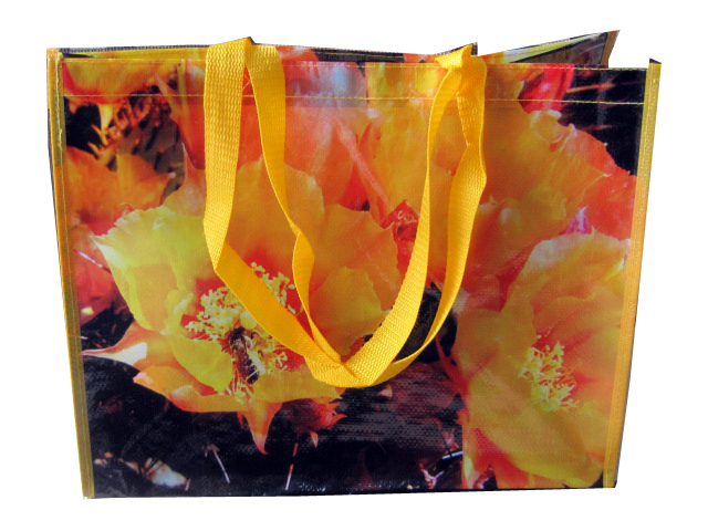 pp woven laminated bags