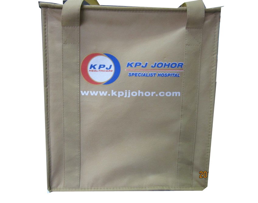 Non Woven Cooler Bag