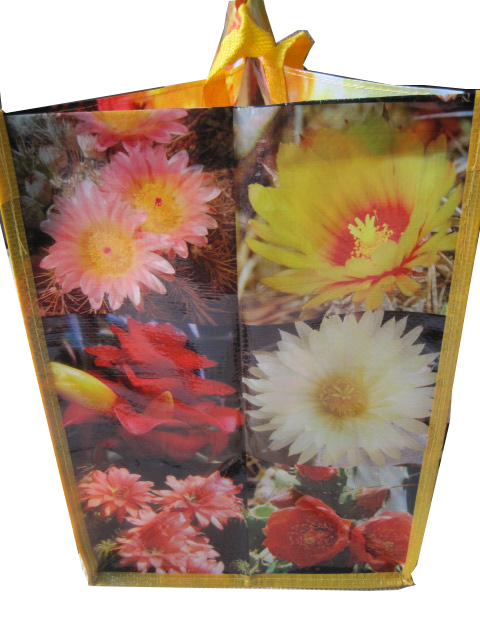 shopping bags