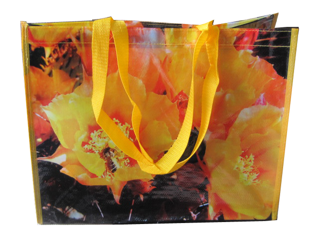 laminated bags